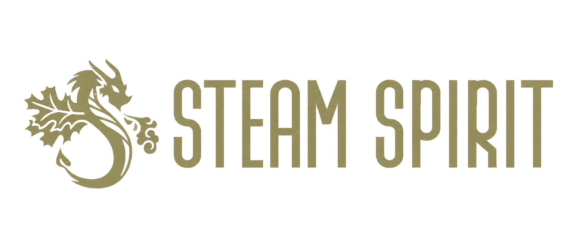 Steam Spirit